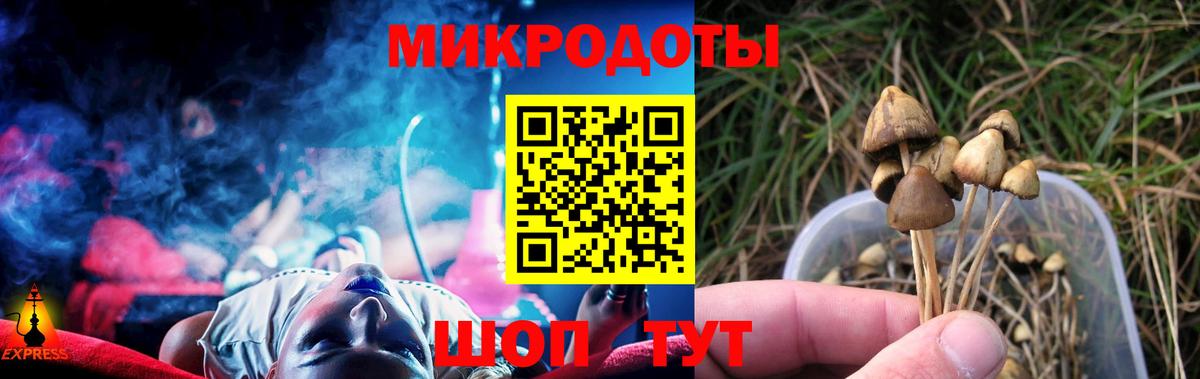 Псилоцибиновые грибы мухоморы Семилуки